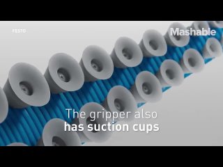 jandyjan1 1165130800024522755 1